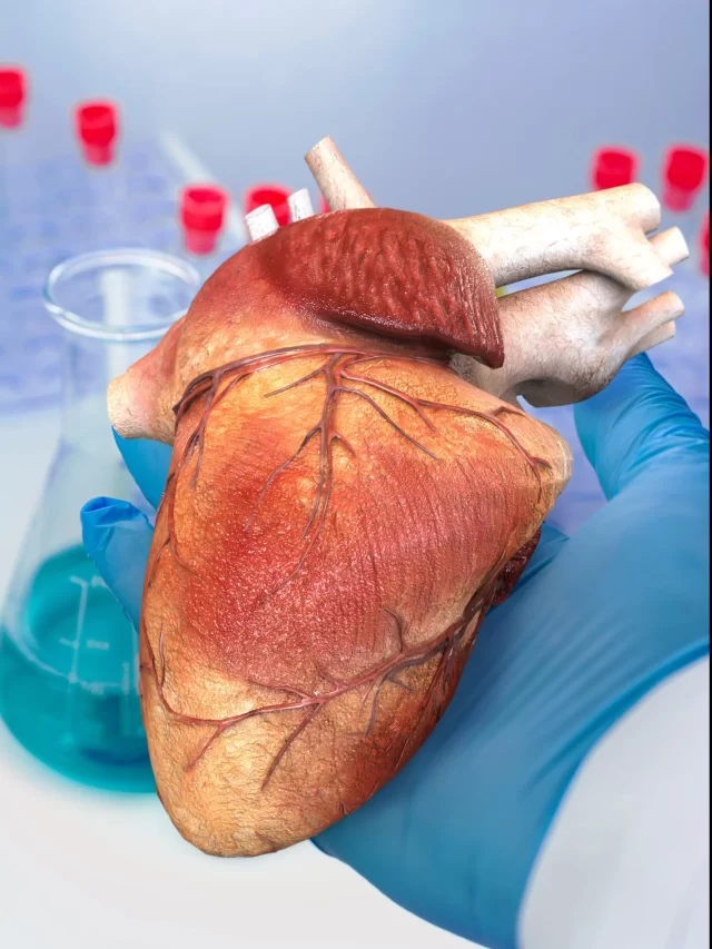 doctor-holds-human-heart-his-hand-clinical-laboratory-background (1)
