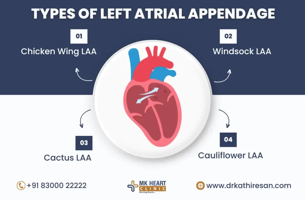 left atrial appendage closure in chennai | Dr. M. Kathiresan