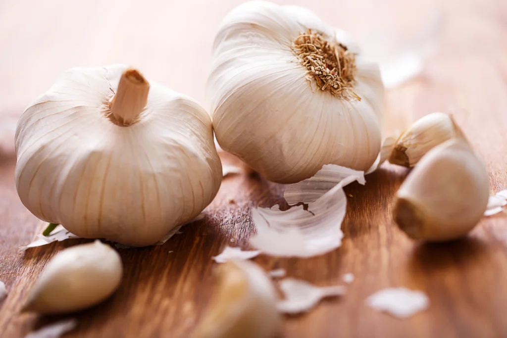 Garlic